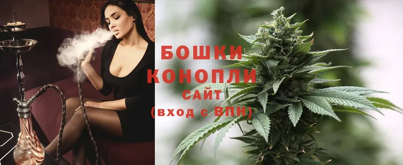 Бошки марихуана SATIVA & INDICA  shop какой сайт  Мурино 